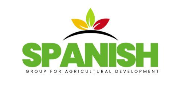 المجموعة الاسبانية